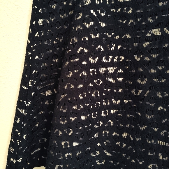 The Limited A-Line Lace with Striped Lining Skirt Size 12 - Picture 5 of 10